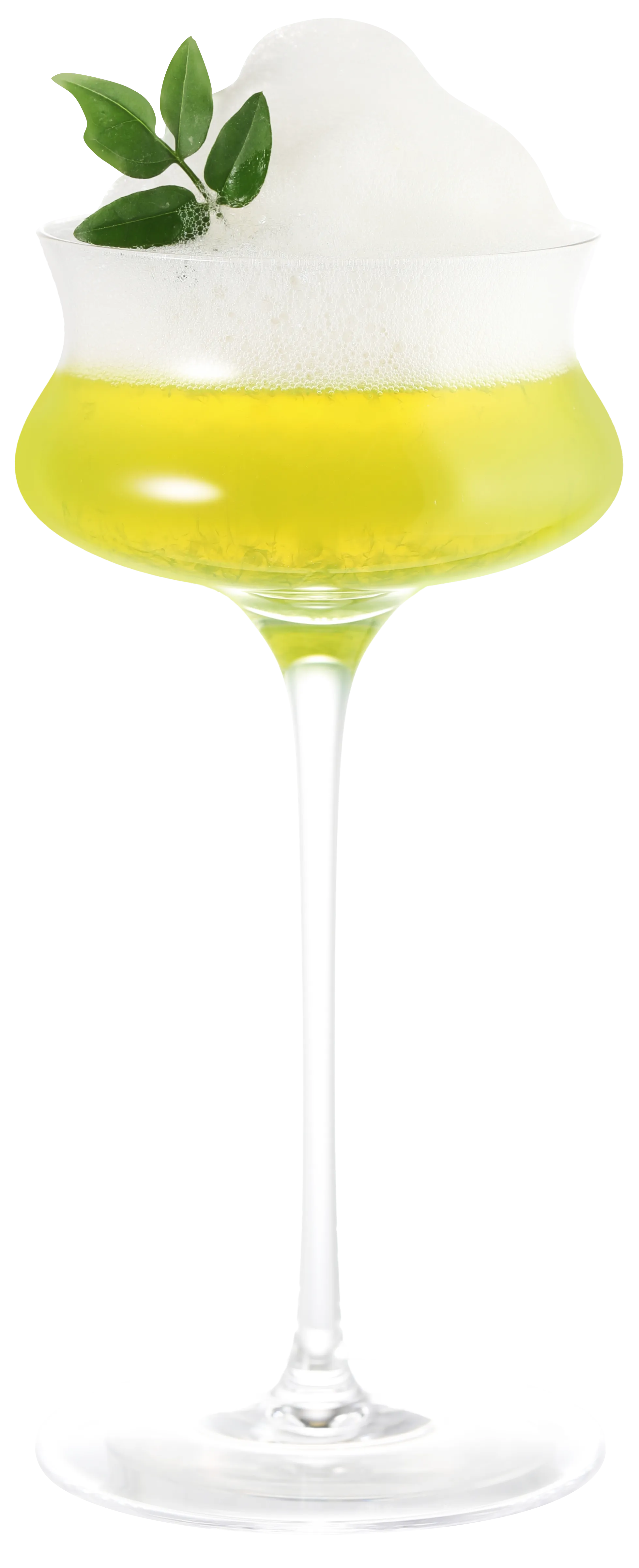 라임 폼 마티니 대표 이미지